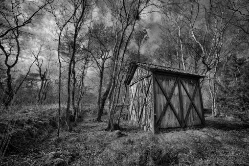 A grayscale shot of a hut in the middle of a forest under the cloudy sky