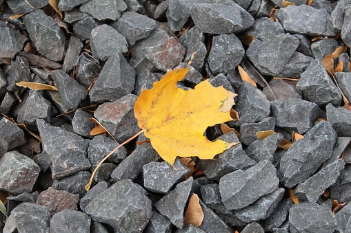 The top view of a yellow leaf on the pile of gray stones creates a fall mood backdrop