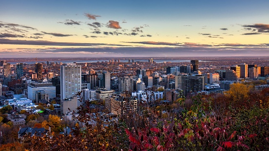 Montreal, Canada – October 25, 2022: A stunning view of Montreal City from the top of Mount Royal