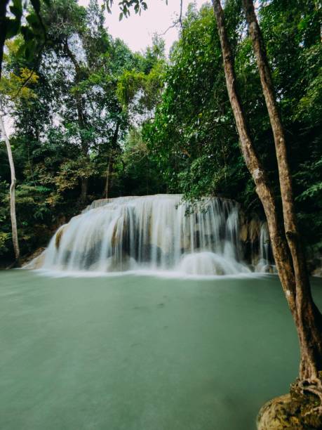 istock Vertical long-exposure view of river water flows through the stone cascade in the forest 1440017294