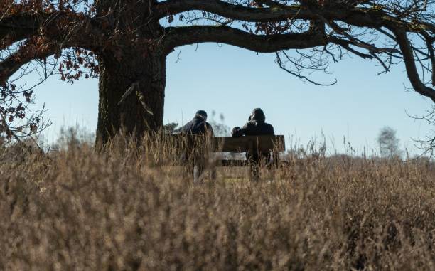 istock Two people sitting on a bank under a tree in the westruper heathlands 1440017724