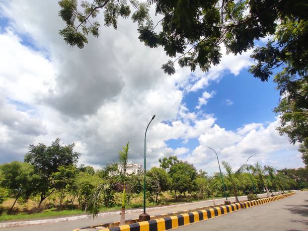istock Road with green trees on a sunny day 1440017985