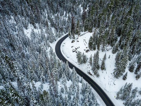 High angle shot of a winding highway in a forest of spruces covered with snow in winter