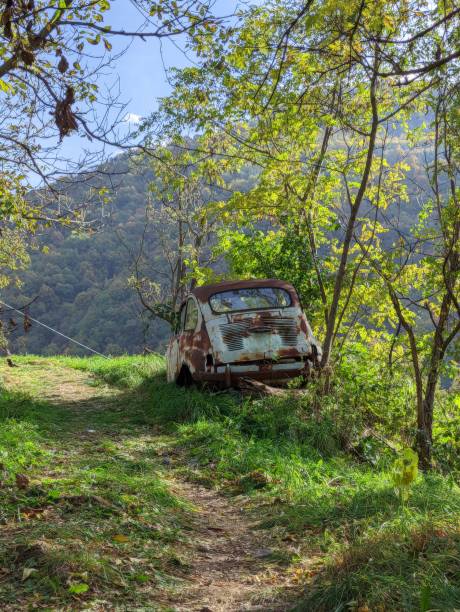 istock Vertical view of an abandoned rusty car in the greenery 1440019925
