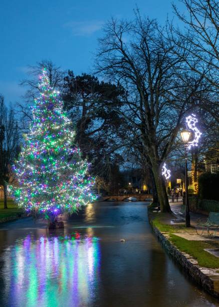 istock Christmas tree with lights surrounded by leafless trees at Bourton-on-the-Water in The Cotswolds 1440020265