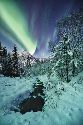 A vertical shot of a beautiful snow covered forest and mountains under the amazing northern lights in Norway
