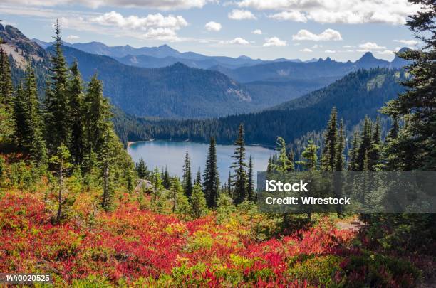 Beautiful Shot Of Red Flowers Near Green Trees With Forested Mountains In The Distance Stock Photo - Download Image Now