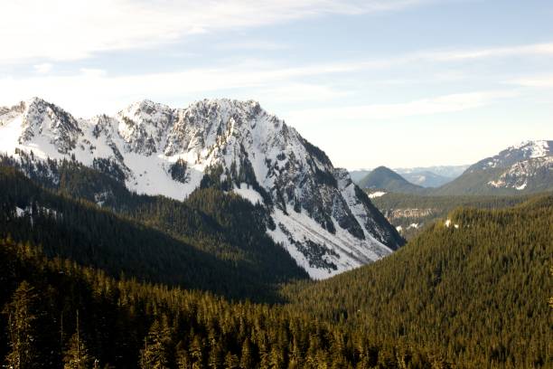 istock Low angle shot of a green scenery surrounded by snowy mountains 1440021346