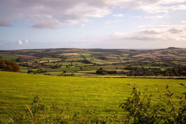 istock Wide green meadows with a cloudy blue sky 1440021932
