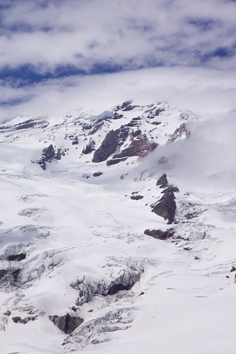 A vertical shot of a white winter scenery from the Mount Rainier National Park, Washington state