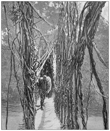 Antique image: Colonial Africa, Liane bridge on the Omo river