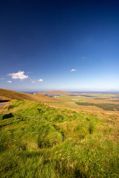 istock Wide grassy meadow with a cloudy blue sky 1440022125