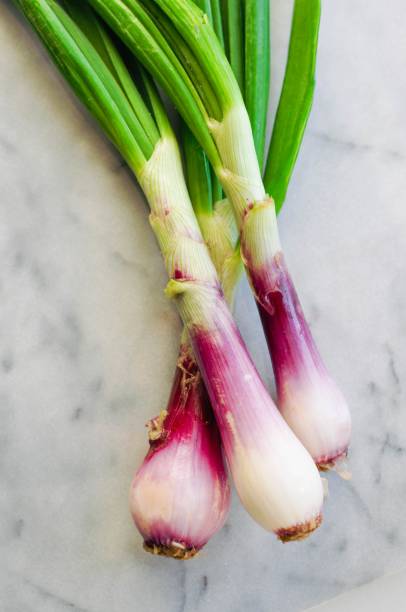 istock Vertical closeup shot of spring onions 1440024552