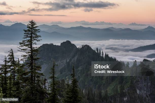 Beautiful Shot Of Trees Near Forested Mountains Above The Clouds With A Light Pink Sky Stock Photo - Download Image Now