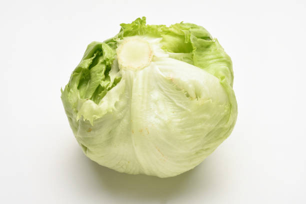 Fresh green iceberg lettuce on the white background