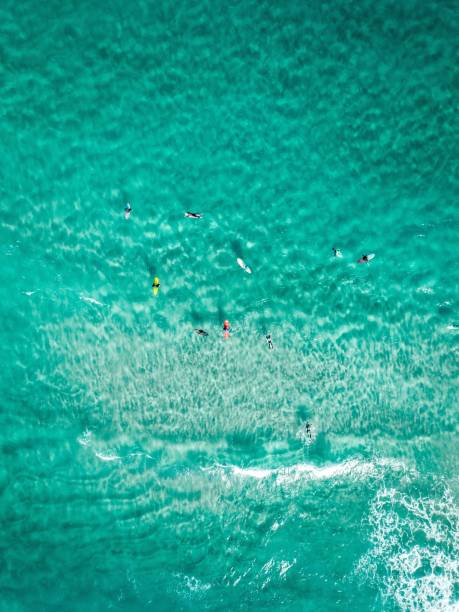 istock Vertical overhead shot surfers with surfboards on a clear blue sea 1440025925