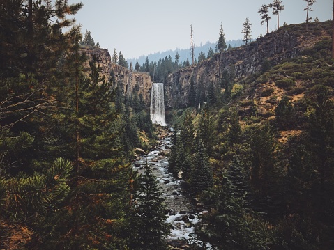 A beautiful shot of the Tumalo waterfall in the middle of the forest