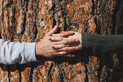 Connection between people and nature. Young woman holding her hand on the tree.