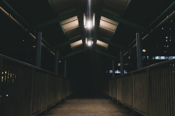 interior of an empty horse barn with cages shot in low exposure - horse stall stable horse barn imagens e fotografias de stock