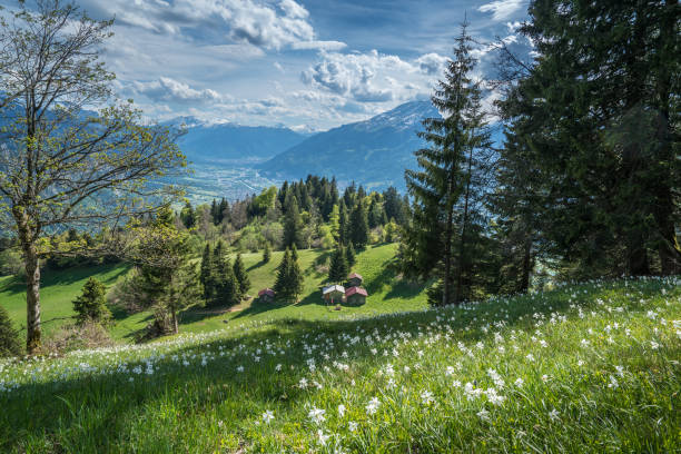 istock Spring in the Grisons, Switzerland 1440027567