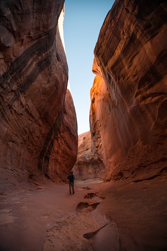 A beautiful vertical shot of red rock canyon