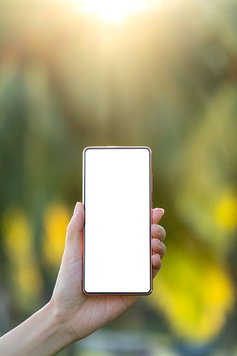 Personal perspective of woman's hand holding a smartphone against bokeh trees background. Smartphone with blank screen for design mockup