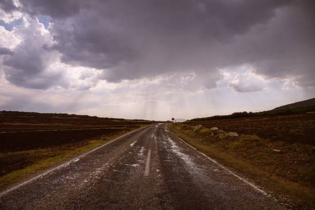 istock Road in the middle of dry grassy fields on a cloudy day 1440028831