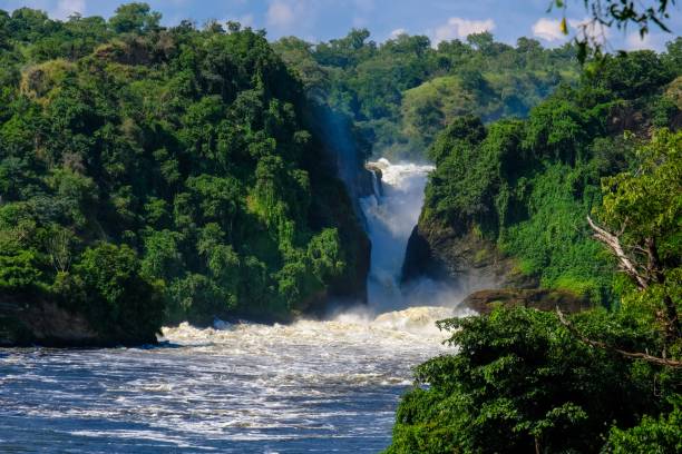 istock Waterfall in the middle of cliffs with trees and plants on a sunny day 1440029135