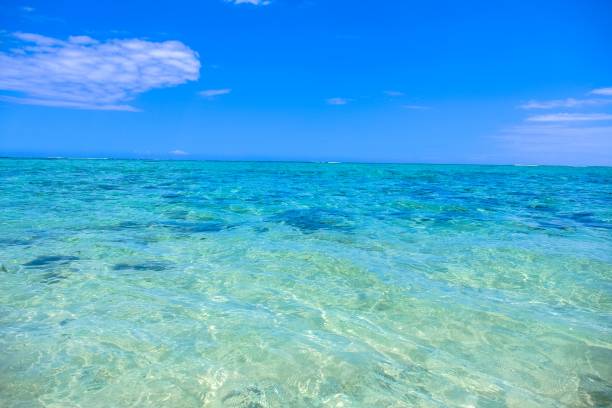 istock Clearwater beach under a beautiful blue sky on a sunny day 1440029345