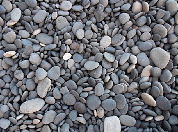 istock Closeup shot of small grey pebbles on a beach 1440029453