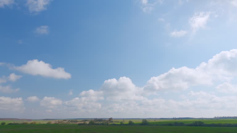 Green forest seen in distance on horizon line Spring landscape. Rural summer landscape.