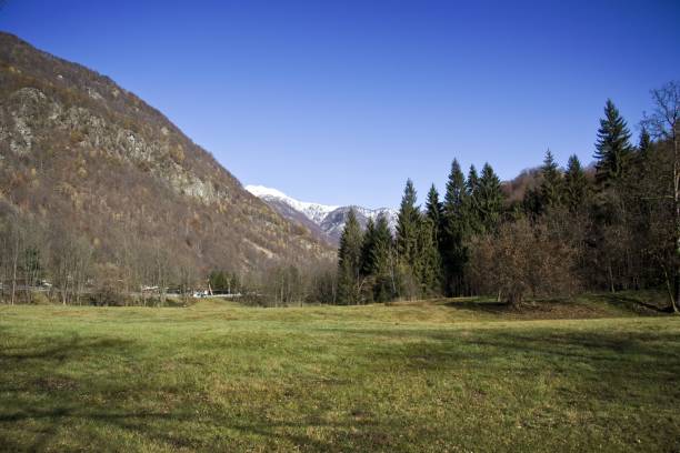 istock Field covered in greenery surrounded by hills under the sunlight and a blue sky at daytime 1440032043