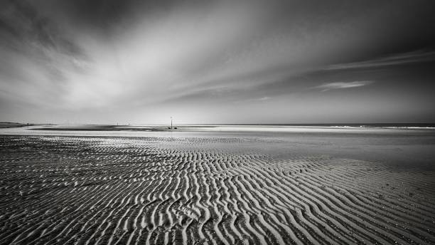 istock Horizontal greyscale shot of mudflat under the crazy cloudy sky 1440032139