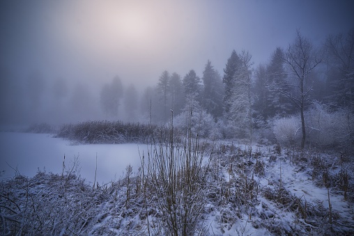 A beautiful shot of a frozen pond near snowy shore with trees and a foggy background