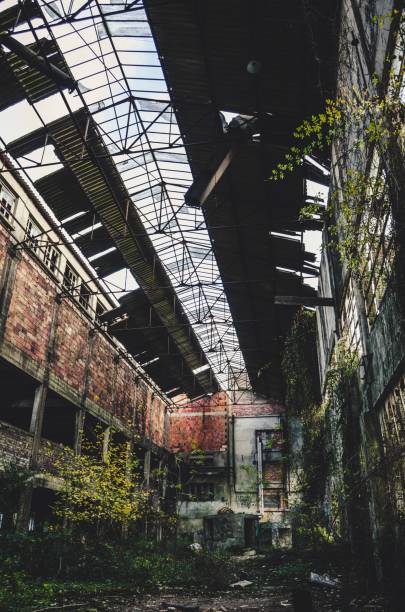 istock Vertical shot of cut trees in an abandoned brick building 1440032997