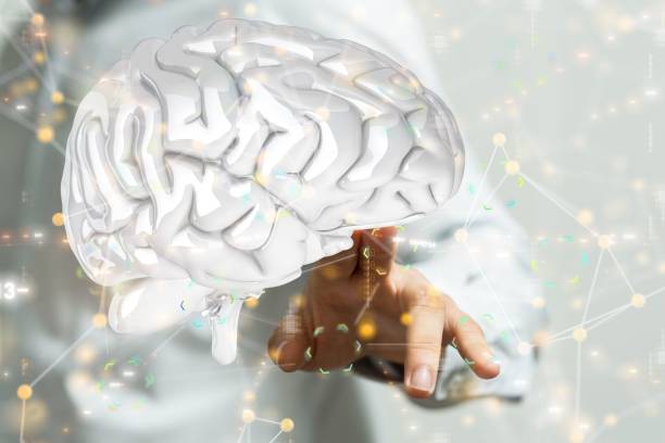 istock Fingers pointing at a 3D-rendered white brain and a blockchain floating in the air 1440033593
