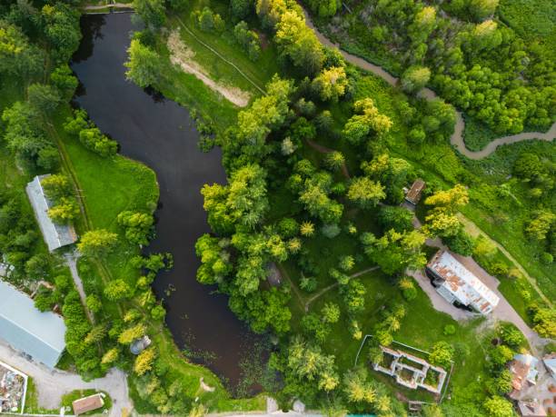 istock Aerial of wetlands and algae in a green forest 1440033764