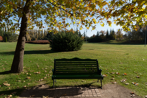 Bench in a park in spring time