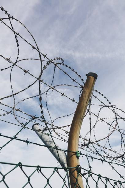 istock Vertical closeup shot of barbed wires under a blue sky 1440035996