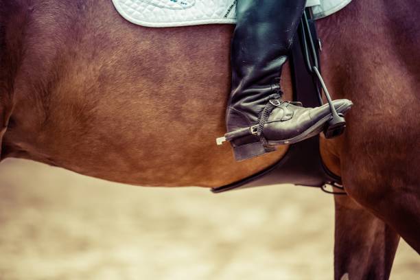 снимок под низким углом человека, сидящего на спине лошади во время соревнований по верховой езде - stirrup стоковые фото и изображения