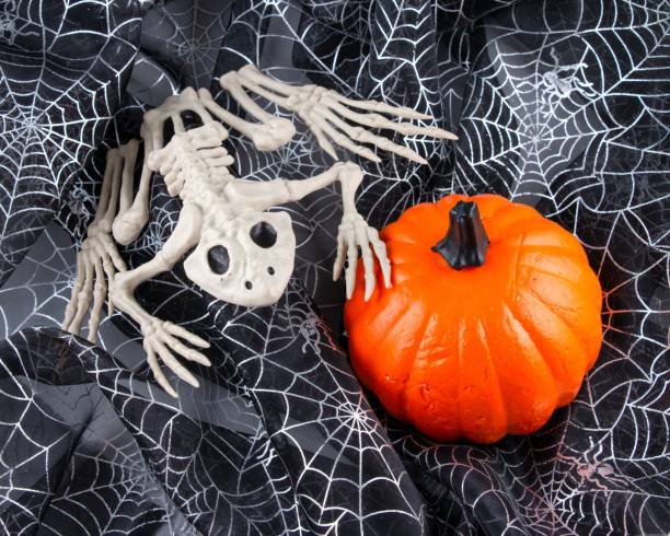 istock Toad skeleton, orange  Halloween decor isolated on black cobwebs 1440037200