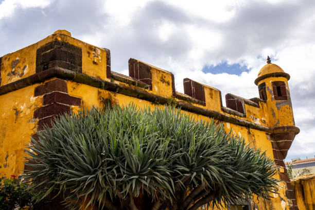 istock Funchal capital city on Madeira island 1440037308