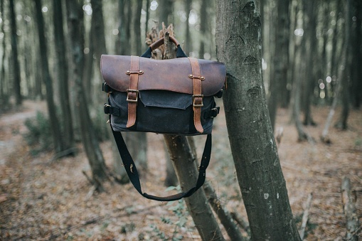 A closeup shot of a comfortable leather hiking bag hanging on a branch of a tree in a forest