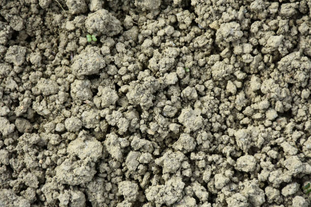 soil background - 13431 imagens e fotografias de stock