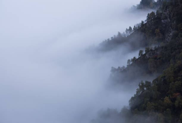 Fog in the mountains and clouds in the gorges of the mountains overgrown with trees, the view point above the clouds Fog in the mountains and clouds in the gorges of the mountains overgrown with trees, the view point above the clouds georgia tornado stock pictures, royalty-free photos & images