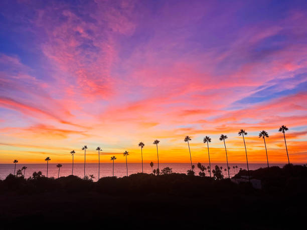 encinitas sonnenuntergang über swamis mit pam trees - romantic sky stock-fotos und bilder