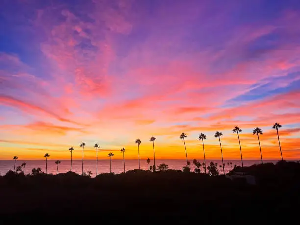 Photo of Encinitas Sunset over Swamis with Pam Trees