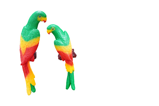 Two parrots perched on a branch on a white background, animal, fashion, object, decor, gift, copy space
