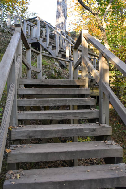 wooden stairs in the public park - 13417 imagens e fotografias de stock