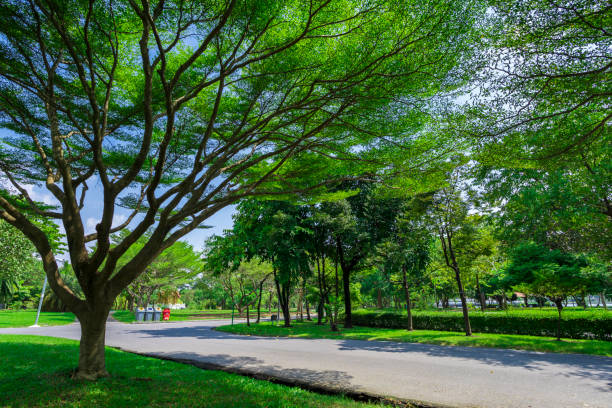 istock Natural public garden with green grass 1440044431